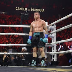 En qué peso y categoría se realizará la pelea entre Canelo Álvarez y Edgar Berlanga