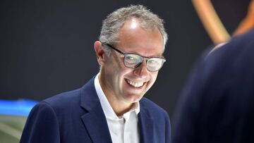 Stefano Domenicali.