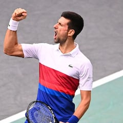 Djokovic asegura el número 1 a final de año por séptima vez
