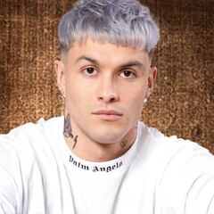 Ni Guarén ni Ivette Vergara: Nico Solabarrieta sorprende a todos con su invitada para la Gala del Festival de Viña