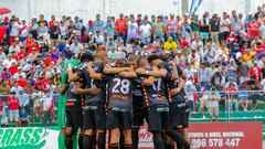 “Zorros” desahuciados