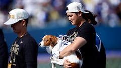 When will Shohei Ohtani get back to practice after his shoulder surgery?