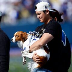 When will Shohei Ohtani get back to practice after his shoulder surgery?