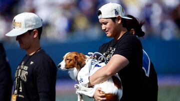 LOS ANGELES, CALIFORNIA - NOVEMBER 01: Shohei Ohtani #17 of the Los Angeles Dodgers walks with dog Decoy during the 2024 World Series Celebration Show at Dodger Stadium on November 01, 2024 in Los Angeles, California. Ronald Martinez/Getty Images/AFP (Photo by RONALD MARTINEZ / GETTY IMAGES NORTH AMERICA / Getty Images via AFP)