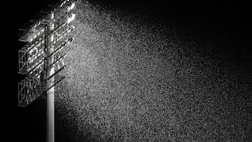 Baltimore Ravens are off to cold and snowy Buffalo in this week’s divisional round of the National Football League playoffs against the mighty Bills.