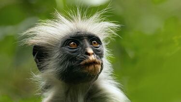 Todos los estrenos y novedades de Apple TV+ en diciembre de 2024