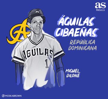 Múltiple campeón del béisbol dominicano, uno de los equipos más dominantes de la pelota caribeña. Persiguen de cerca el palmarés de Tigres de Licey (21 títulos de liga contra 20) y se han consagrado en cinco Series del Caribe. Por su roster pasaron figuras como Miguel Tejada, Edwin Encarnación, Manny Ramírez y Miguel Diloné.