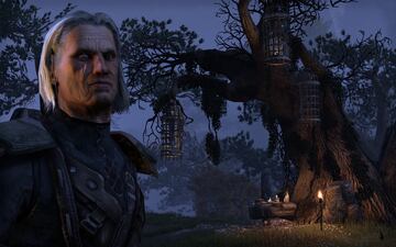 Captura de pantalla - The Elder Scrolls Online (PC)