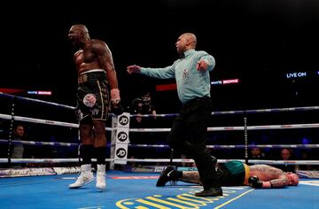 D. Whyte noquea a Lucas Browne en el título del peso pesado de plata del CMB.