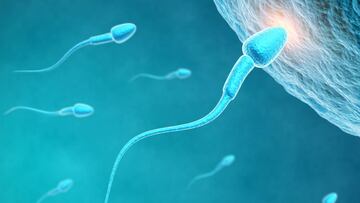 La píldora anticonceptiva masculina podría llegar al mercado en dos años.