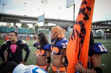 En marzo se retoma la actividad del fútbol americano en bikini en México. La novedosa actividad deportiva se juega en canchas de 50 yardas de largo por 30 yardas de ancho, con ocho jugadoras defensivas, ocho ofensivas y cuatro en reserva. Los partidos se dividen en cuatro cuartos de 15 minutos y un descanso de media hora. A diferencia del fútbol americano masculino, no hay patada de salida ni goles de campo.