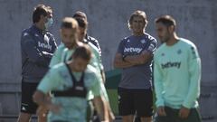 Pellegrini, durante un entrenamiento.