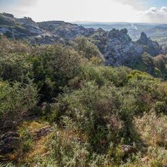 Marzo trae las hojas y noviembre las despoja