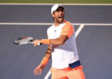 Fernando Verdasco.