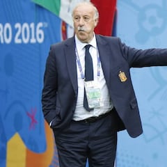 La hora del relevo: sale Del Bosque, calienta Caparrós