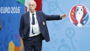 La hora del relevo: sale Del Bosque, calienta Caparrós