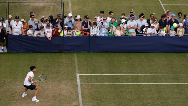 Alcaraz vuelve ante Davidovich a su otra tierra