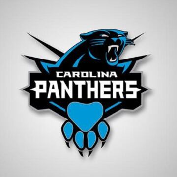 CAROLINA: Charlotte Hornets y Carolina Panthers