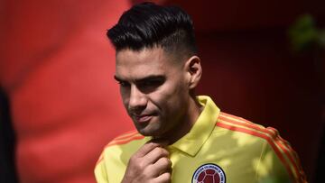 Falcao Garc&iacute;a, delantero de la Selecci&oacute;n Colombia que jugar&aacute; el Mundial de Rusia 2018, habl&oacute; sobre Egipto y los rivales Polonia, Jap&oacute;n y Senegal