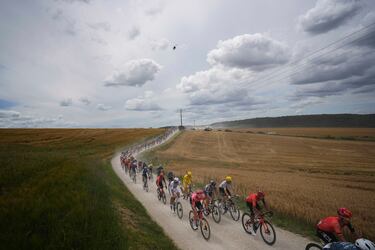 El pelotón de ciclistas recorre en bicicleta el sector de grava "Chemin Blanc" de Bligny au Bergères durante la novena etapa de la 111ª edición de la carrera ciclista del Tour de Francia.