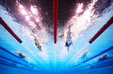 Comentario atribuido a Paul Gilham, director global de deportes en Getty Images:

El fotógrafo de Getty Images, Buda Mendes, ha capturado una composición impactante mientras Kevin McNab y su caballo Don Quidam, del equipo de Australia, superan un obstáculo durante la prueba de cross country individual del evento de doma ecuestre en los Juegos Olímpicos de París 2024 en el Chateau de Versailles el 28 de julio de 2024 en Versalles, Francia.
