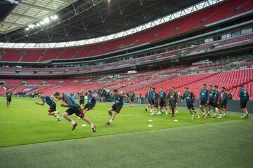 El grupo en el césped de Wembley.