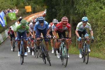 Valverde, Quintana, López y Roglic.