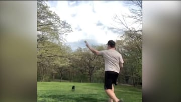 Este perro es la mejor pareja para lanzar la pelota