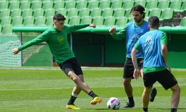 Las salidas todavía buscan destino