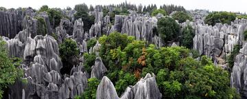 Conjunto de formaciones calizas ubicadas en el Condado Shilin, en la provincia de Yunnan siendo declarado  Patrimonio de la Humanidad de la Unesco como parte de los Karst de China meridional.