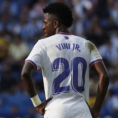 Los otros negocios de Vinicius