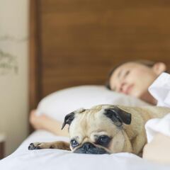 Las personas que duermen con sus perros tienen una cosa en común y puede ayudarte a lo largo de tu vida