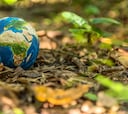 Earth Day 2024: Origen, por qué se celebra y cuándo fue el primer Día de la Tierra