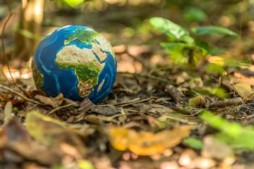 Earth Day 2024: Origen, por qu se celebra y cundo fue el primer Da de la Tierra