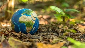 Earth Day 2024: Origen, por qué se celebra y cuándo fue el primer Día de la Tierra