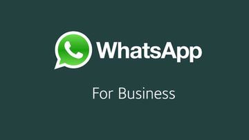 WhatsApp Bussines ya cuenta con respuestas rápidas