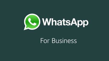 WhatsApp Bussines ya cuenta con respuestas r¨¢pidas