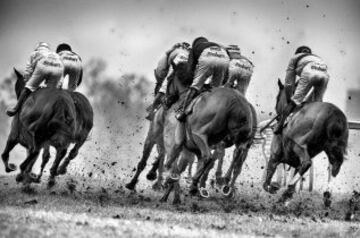 Carrera hípica en Towcester, Inglaterra.