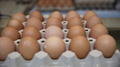 Importante cambio de Mercadona con sus huevos por la gripe aviar: “Es puntual”