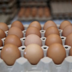 Autoridades anuncian retiro de huevos por riesgo de salmonella en California: ciudades afectadas