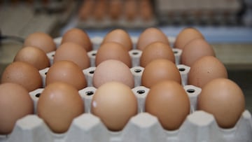 Huevos de Vega Farms son retirados del mercado en California por posible contaminación con salmonela.
Jesús Hellín / Europa Press
20/11/2025