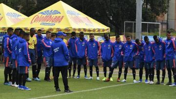 Selecci&oacute;n Colombia sub 15 en el rondo 