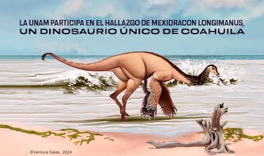 Encontrado un nuevo dinosaurio “único” en México: el Mexidracon, un terópodo con características nunca vistas