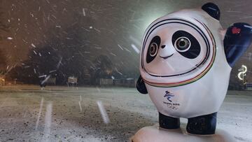 Japón enviará únicamente representantes deportivos