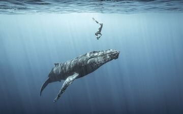 Adventure Photographer Of The Year: Tercer premio.