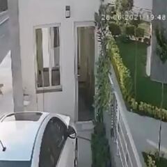 Imágenes muy duras: un perro ladra y provoca que un camión atropelle a un hombre