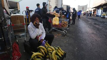 Ingreso Familiar de Emergencia: ¿cuándo sé si mi solicitud ha sido aceptada para cobrar el aporte?