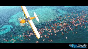 Microsoft Flight Simulator Flamingo Screenshot with logo
