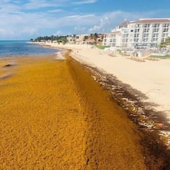 Cancelan miles de reservas en balnearios por la presencia de la “bacteria carnívora” en el agua