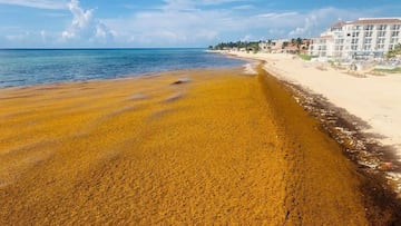 U.S. authorities have already launched a campaign to inform and prevent the spread.